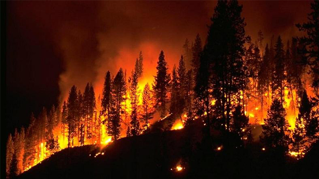 消防知識 丨 5種火災不能用水撲救，你知道嗎？