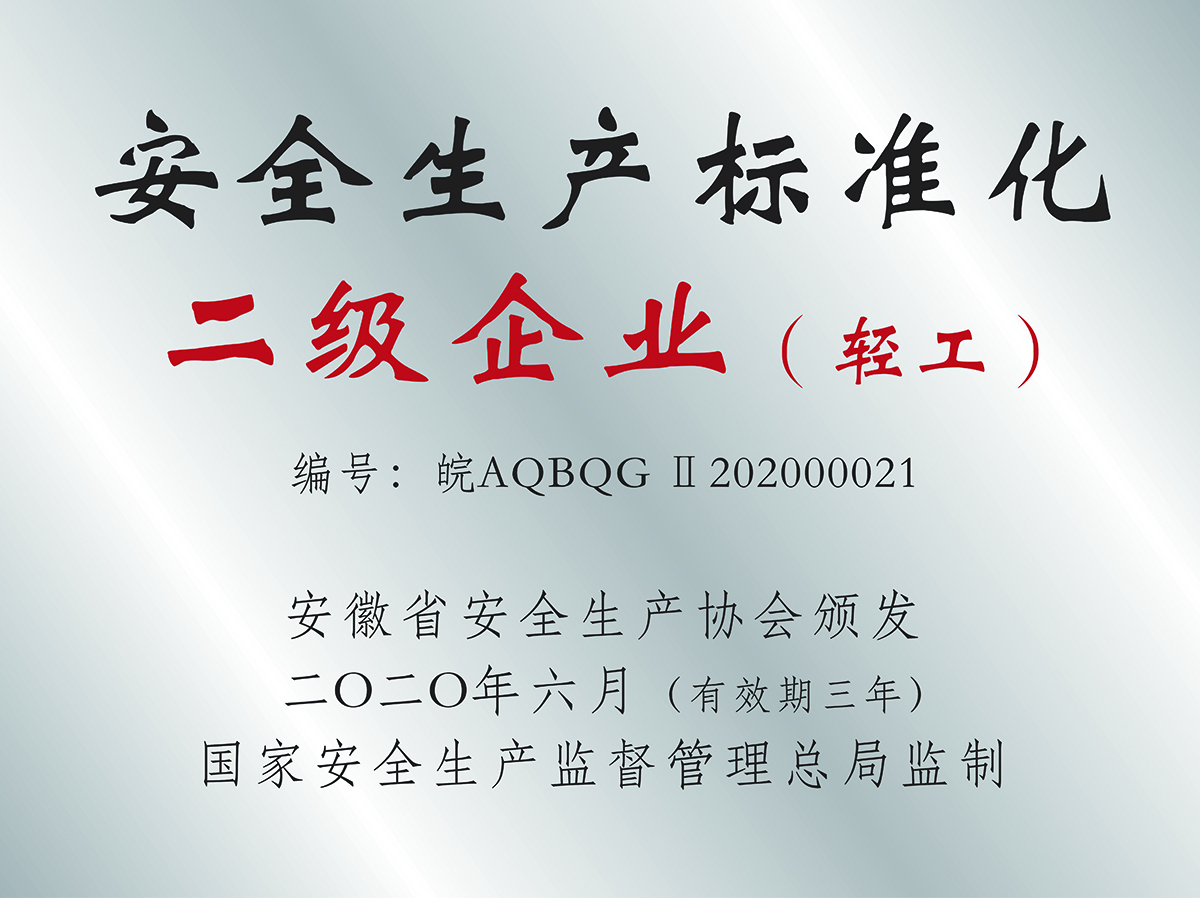 安全生產(chǎn)標準化二級企業(yè)